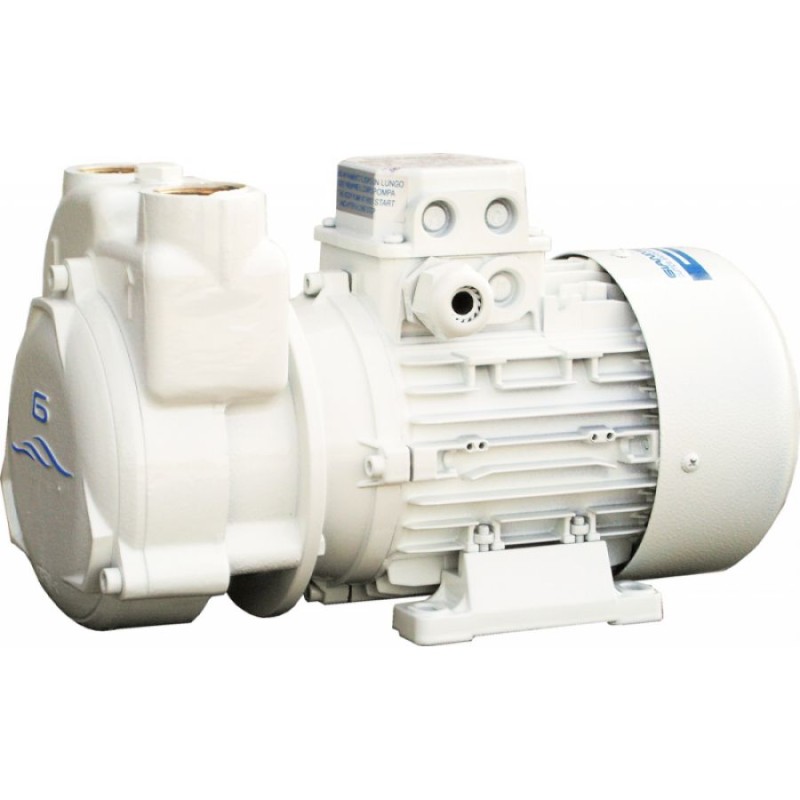 Elettropompa Cp30 - foto 1