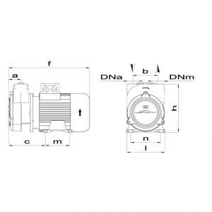 Elettropompa Cp30 - foto 2