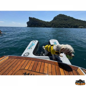 Rampa cani gonfiabile T-WAVE - foto 2